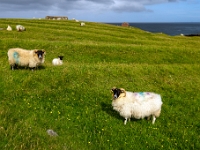 Isle of Lewis and Harris
